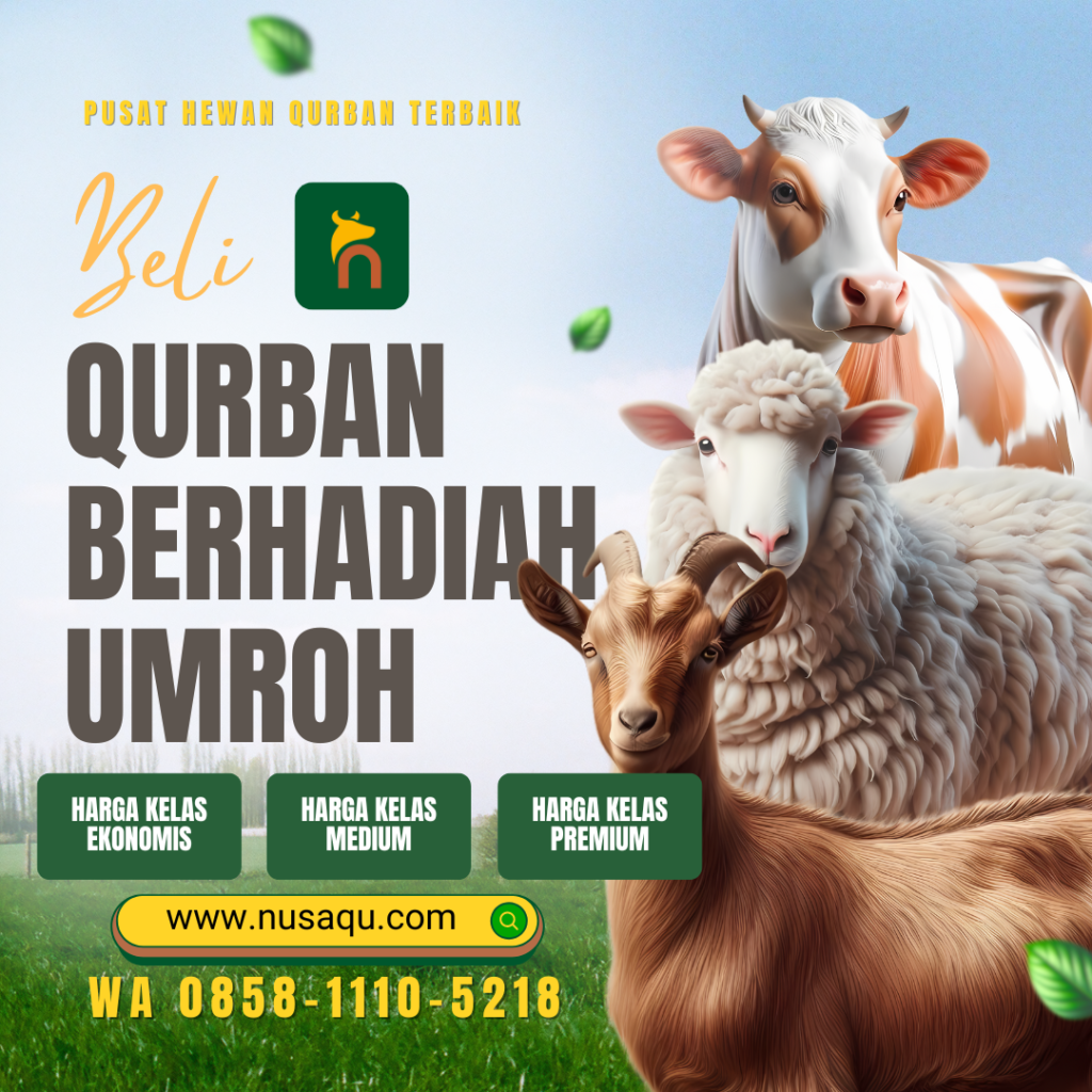 facebook BELI QURBAN DI NUSAQU PUSAT HEWAN QURBAN TERBAIK BERHADIAH UMROH 2024